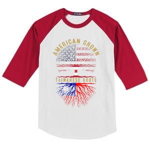 Distressed Tree Usa Flag American Grown Taiwanese Roots Gift Kids Colorblock Raglan Jersey