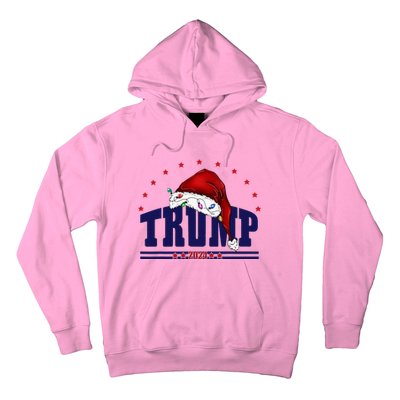 Donald Trump Usa 2024 Santa Claus Hat Hoodie