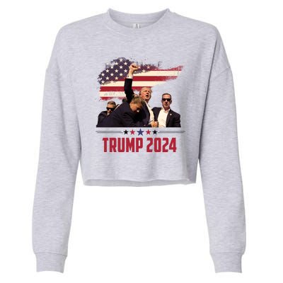 Donald Trump Usa Flag Fist Fight Election 2024 Cropped Pullover Crew