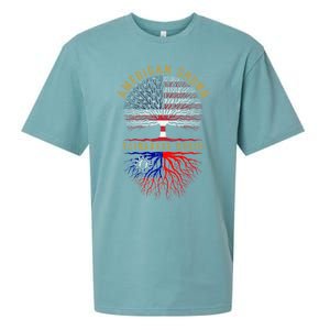 Distressed Tree Usa Flag American Grown Taiwanese Roots Gift Sueded Cloud Jersey T-Shirt