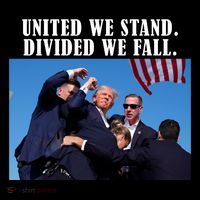 Donald Trump United We Stand Dived We Fall Wool Snapback Cap