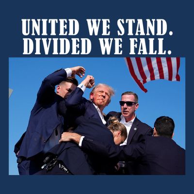 Donald Trump United We Stand Dived We Fall T-Shirt