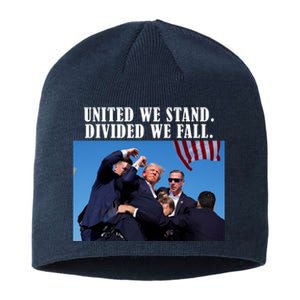 Donald Trump United We Stand Dived We Fall Sustainable Beanie