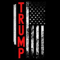 Donald Trump Vintage USA Flag 2024 Sweatshirt