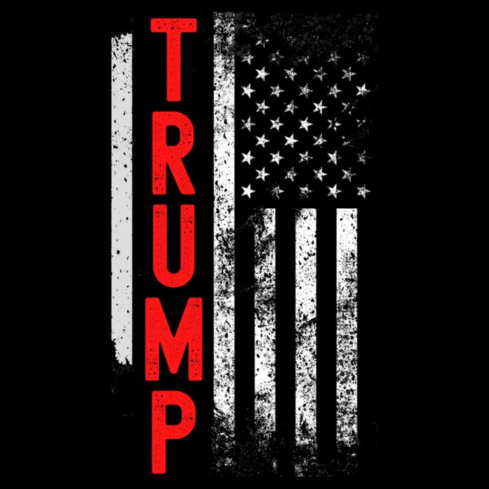 Donald Trump Vintage USA Flag 2024 Sweatshirt