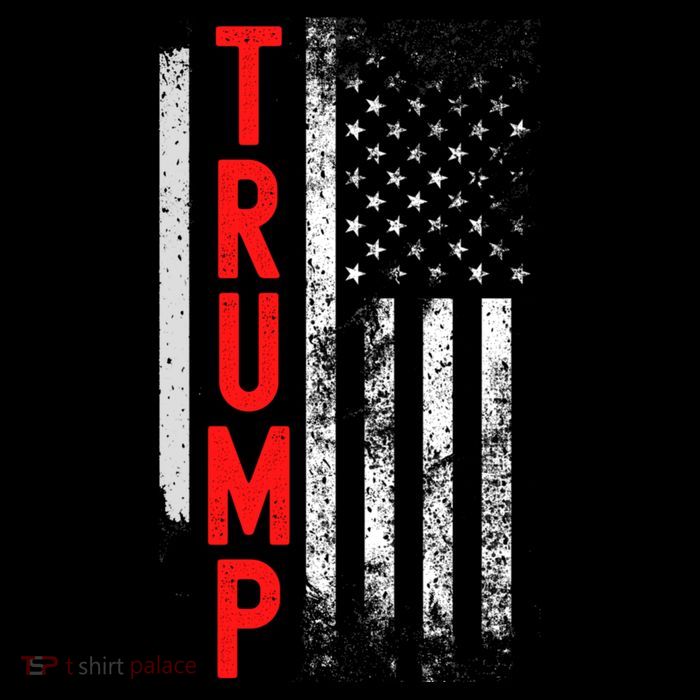 Donald Trump Vintage USA Flag 2024 Kids T-Shirt
