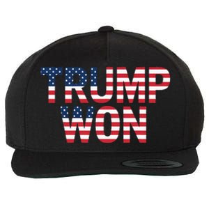 Donald Trump Won 2024 Election Republican Win Trump Won 2024 Wool Snapback Cap