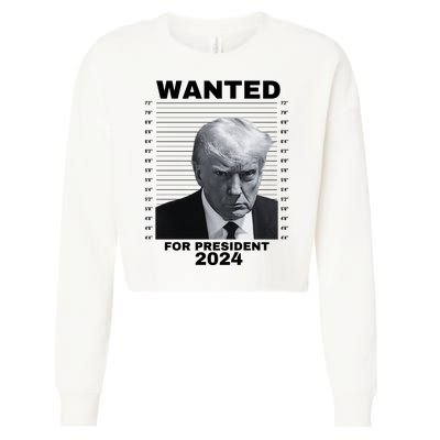 DONALD TRUMP WANTED FOR PRESIDENT 2024 President Trump Mugshot Cropped Pullover Crew