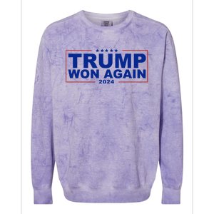 Donald Trump Won Again 2024 President Colorblast Crewneck Sweatshirt