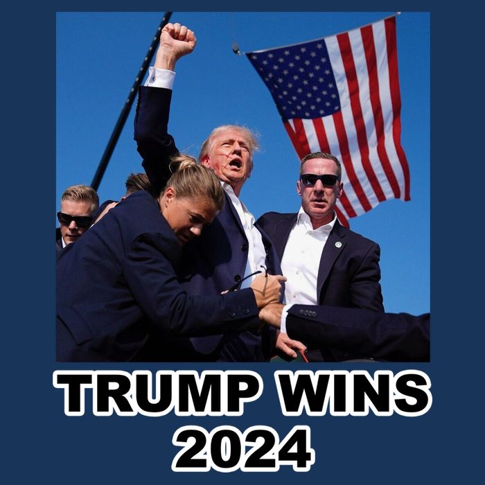 Donald Trump Wins 2024 Election Gun Shot Fired At Rally Poster