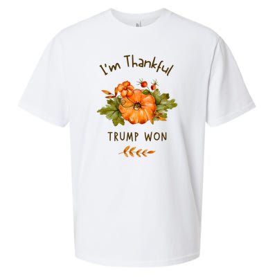 Donald Trump Won Thanksgiving Thankful Election 2024 Sueded Cloud Jersey T-Shirt