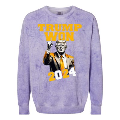 Donald Trump Won 2024 Election Inauguration Colorblast Crewneck Sweatshirt