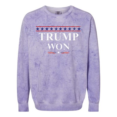 Donald Trump Won In The Election American Flag Trump 2024 Colorblast Crewneck Sweatshirt