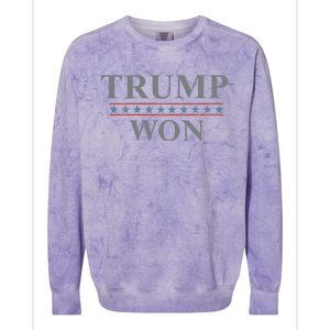 Donald Trump Won In The Election American Flag Trump 2024 Colorblast Crewneck Sweatshirt