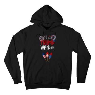 Donald Trump Won 2024 Election Inauguration Hoodie