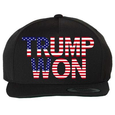 Donald Trump Won 2024 Election Republican Win Trump Won 2024 Wool Snapback Cap