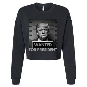 Trump wanted for President 2024 Trump Mugshot Cropped Pullover Crew