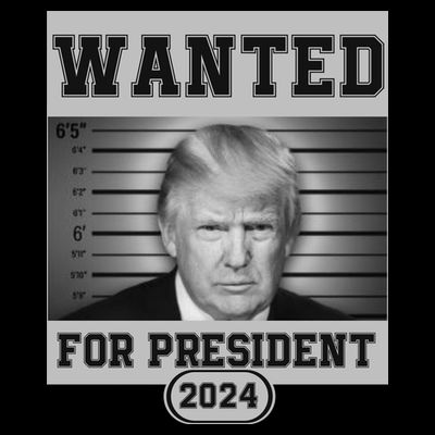 Donald Trump Wanted For President 2024 President Trump Mugshot T-Shirt
