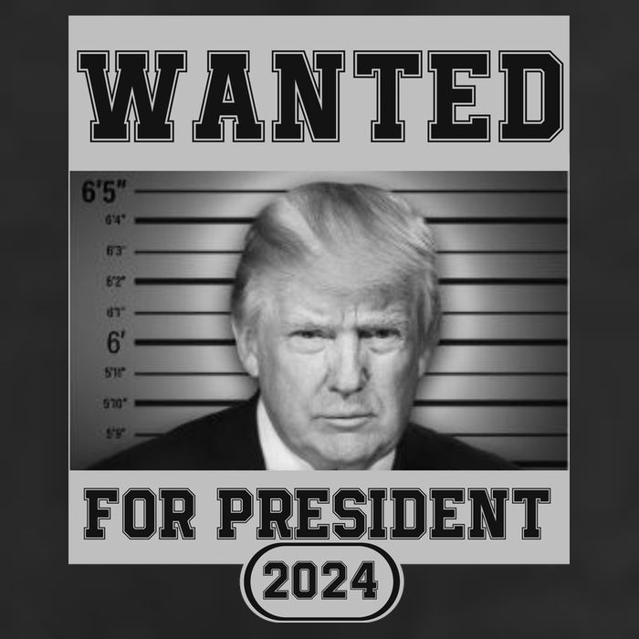 Donald Trump Wanted For President 2024 President Trump Mugshot Beanie