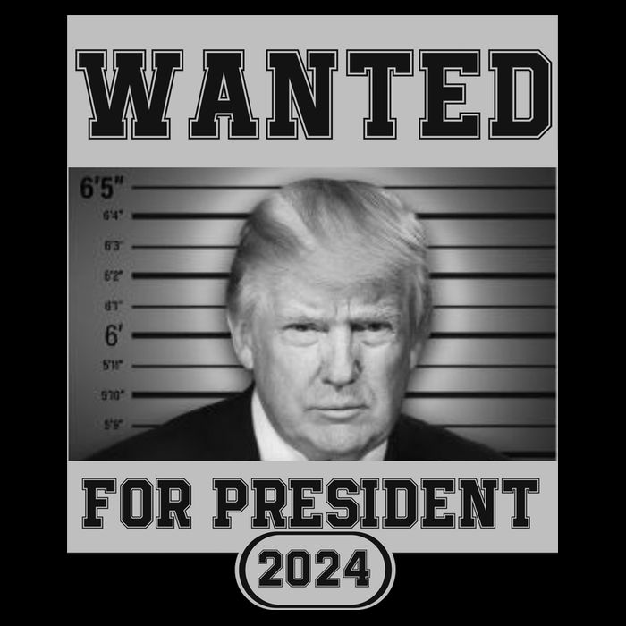Donald Trump Wanted For President 2024 President Trump Mugshot Women's Crop Top Tee