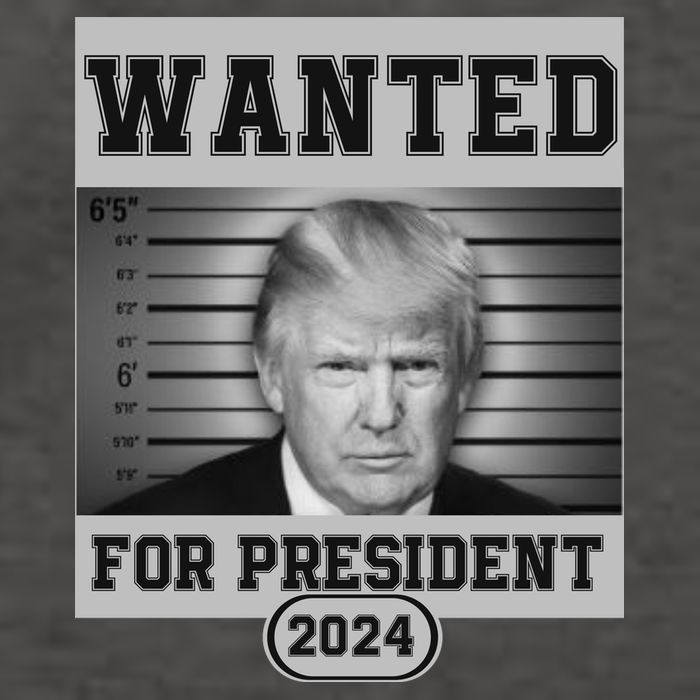 Donald Trump Wanted For President 2024 President Trump Mugshot Vector Backpack