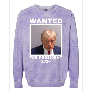 Trump wanted for President 2024 Trump Mugshot Colorblast Crewneck Sweatshirt