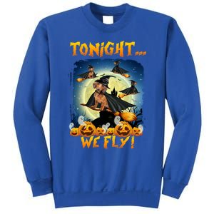 Dachshund Tonight We Fly Funny Dachshund Witch Fly Halloween Gift Sweatshirt