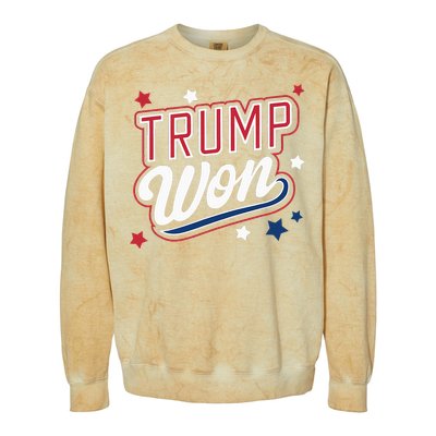 Donald Trump Won 2024 Election Republican Colorblast Crewneck Sweatshirt