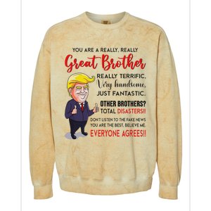 Donald Trump YouRe A Really Great Brother Colorblast Crewneck Sweatshirt