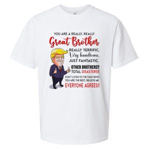 Donald Trump YouRe A Really Great Brother Sueded Cloud Jersey T-Shirt