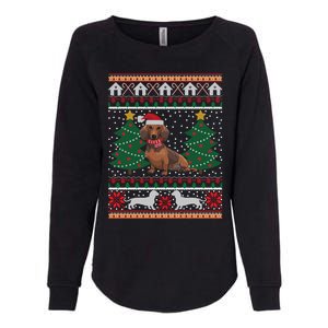 Dachshund Ugly Christmas Funny Holiday Dog Lover Xmas Gift Womens California Wash Sweatshirt