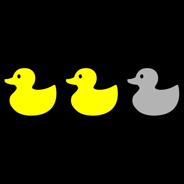 Duck Duck Grey Bag