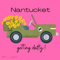 Daffodils Upon Daffodils Nantucket Getting Ack Stripe Pom Pom Beanie