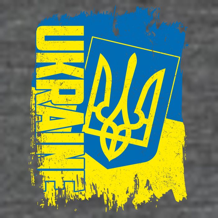 Distressed Ukraine Flag Stand With Support Ukraine T-Shirt