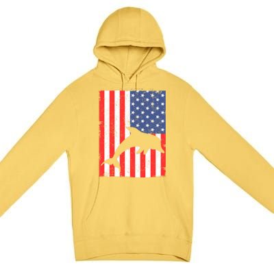 Dolphin Us Flag Independence Day Meaningful Gift Premium Pullover Hoodie