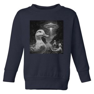 Ducks & Ufos Lakeside Encounter Funny Duck Lover Toddler Sweatshirt