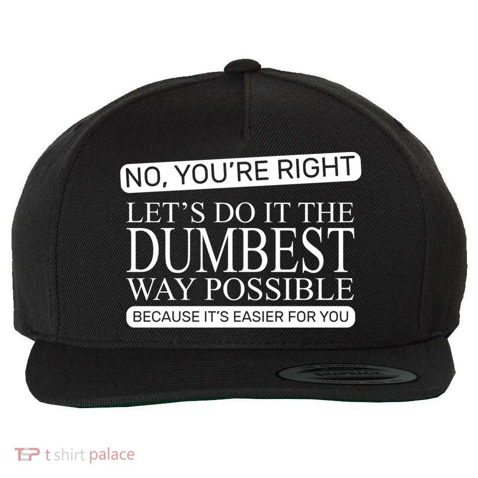 Dumbest Way Possible Wool Snapback Cap