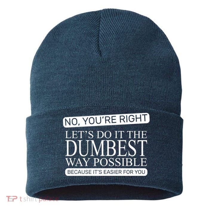 Dumbest Way Possible Sustainable Knit Beanie