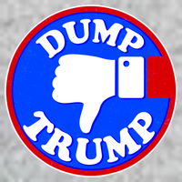 Dump Trump Emblem Kids Sweatshirt