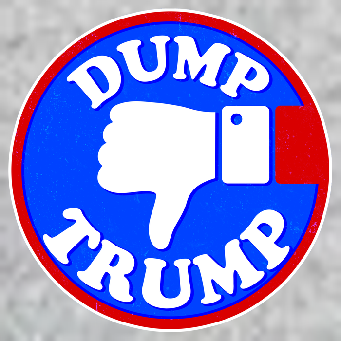 Dump Trump Emblem Kids Sweatshirt