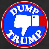 Dump Trump Emblem Adult Drive Performance Visor