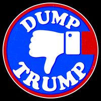 Dump Trump Emblem Mug