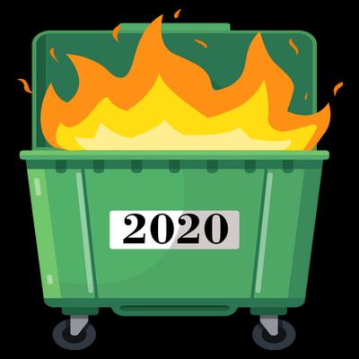 Dumpster Fire 2020 Sucks Worst Year T-Shirt
