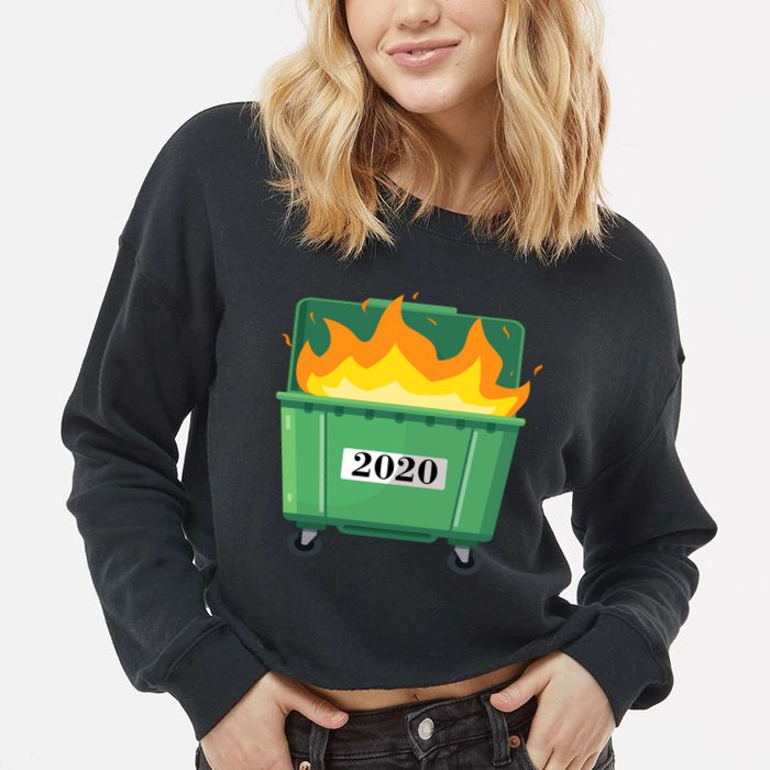 Dumpster Fire 2020 Sucks Worst Year Cropped Pullover Crew