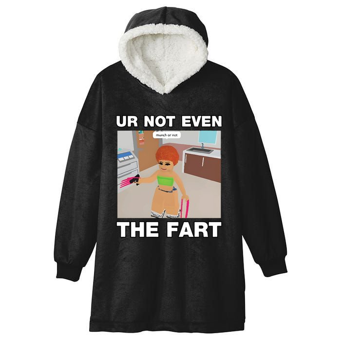 Dippytees Ur Not Even The Fart Ice Spice Hooded Wearable Blanket