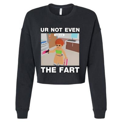 Dippytees Ur Not Even The Fart Ice Spice Cropped Pullover Crew