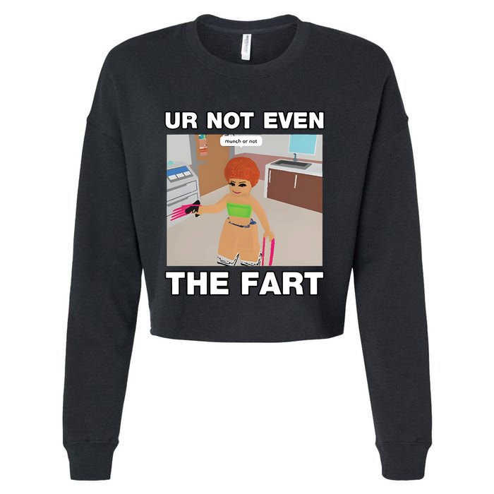 Dippytees Ur Not Even The Fart Ice Spice Cropped Pullover Crew