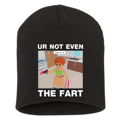 Dippytees Ur Not Even The Fart Ice Spice Short Acrylic Beanie