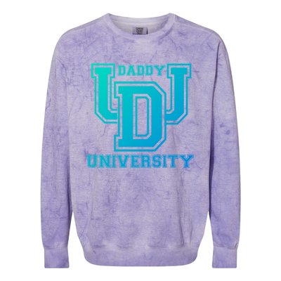 Daddy University New Dad FatherS Day Best Father Ever Gift Colorblast Crewneck Sweatshirt