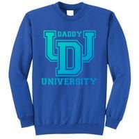 Daddy University New Dad FatherS Day Best Father Ever Gift Tall Sweatshirt